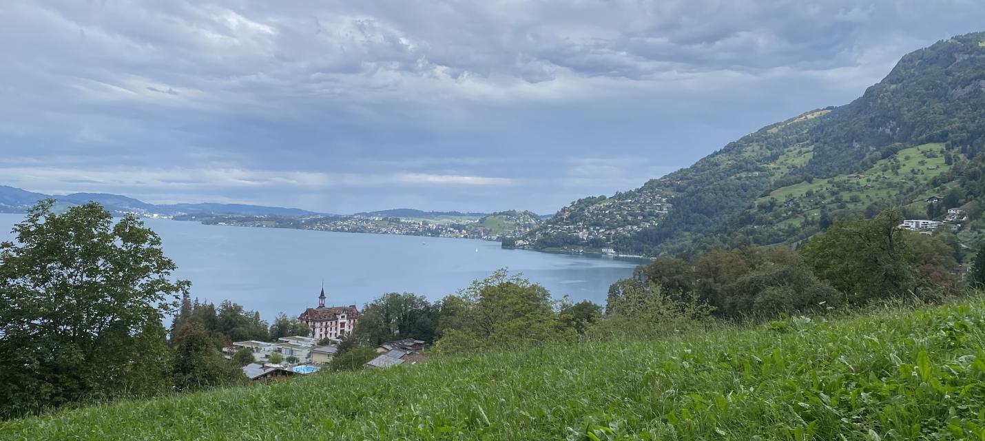 Weggis und Vitznau